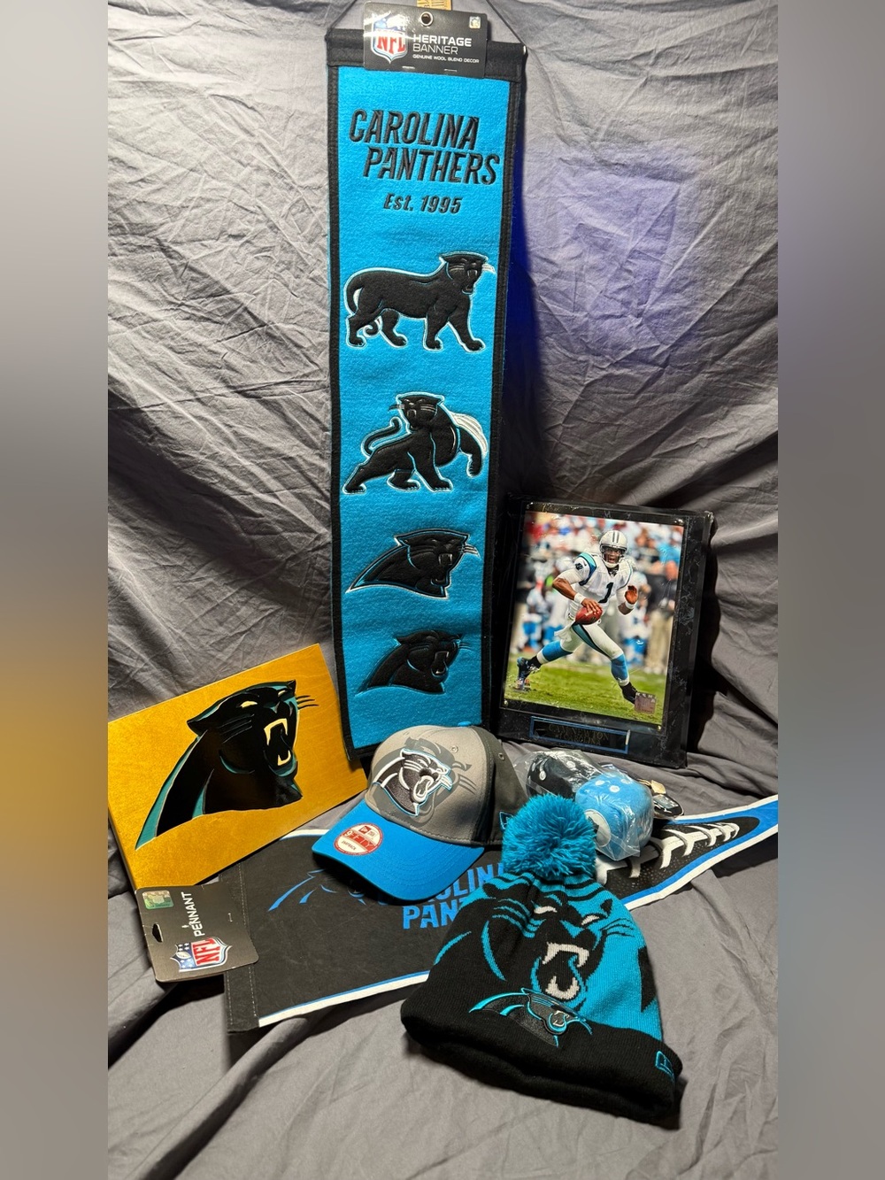 Carolina Panthers Fan Lot W/ Hat/ Cap Cam Newton License Plate Pennant NFL #1